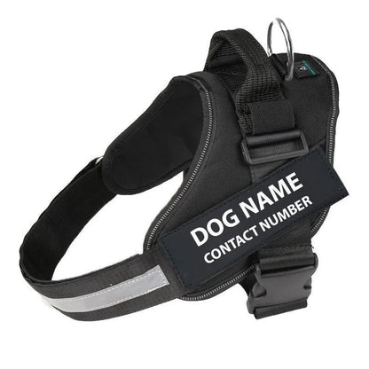 No-Pull Paw Harness