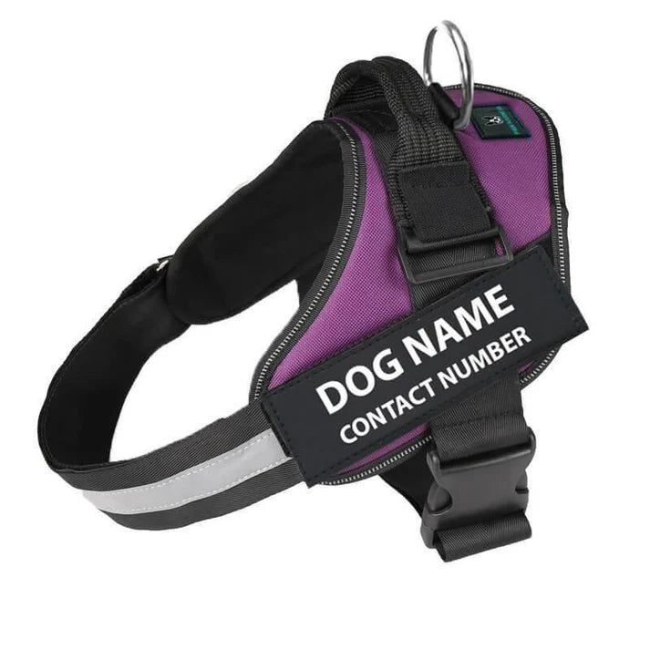 No-Pull Paw Harness