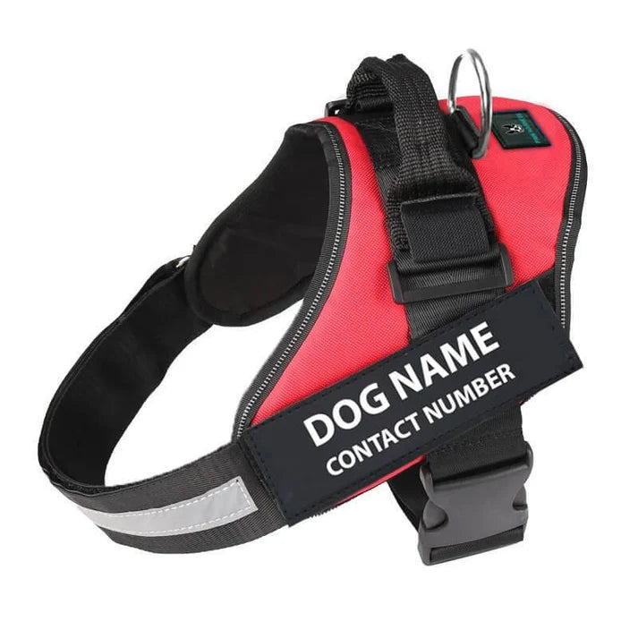 No-Pull Paw Harness